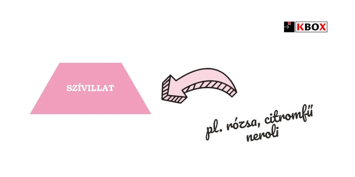 kbox szívillat