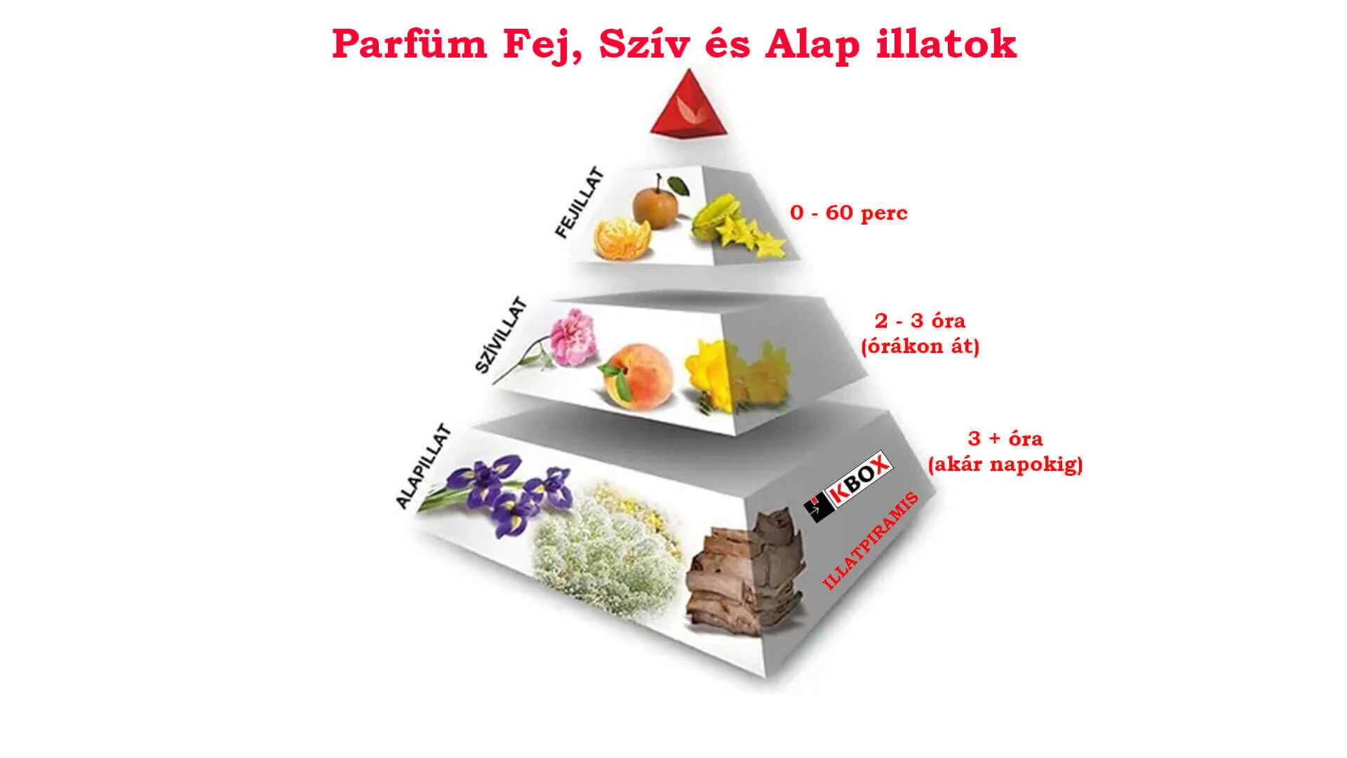 parfüm fej szív alap illat