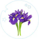 KBOX-yodeyma-gyerek-parfum-kids