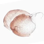 KBOX-yodeyma-kozmetikum-hidratalo-tej