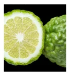 KBOX-yodeyma-ferfi-parfum-blue-sand-jo